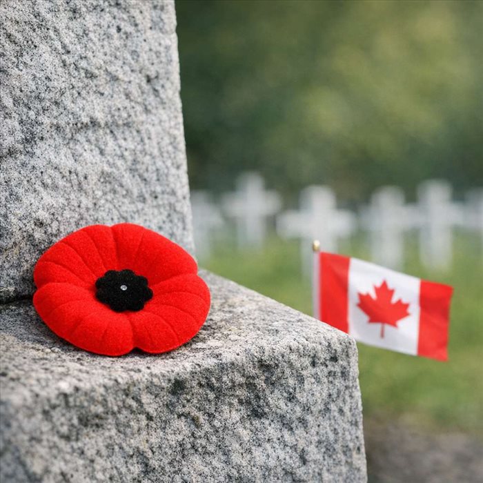 Que signifie le coquelicot au Jour du Souvenir au Canada ?